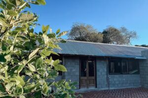 Glamping – Río de los Pájaros