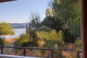 Golondrinas del Nahuel Huapi