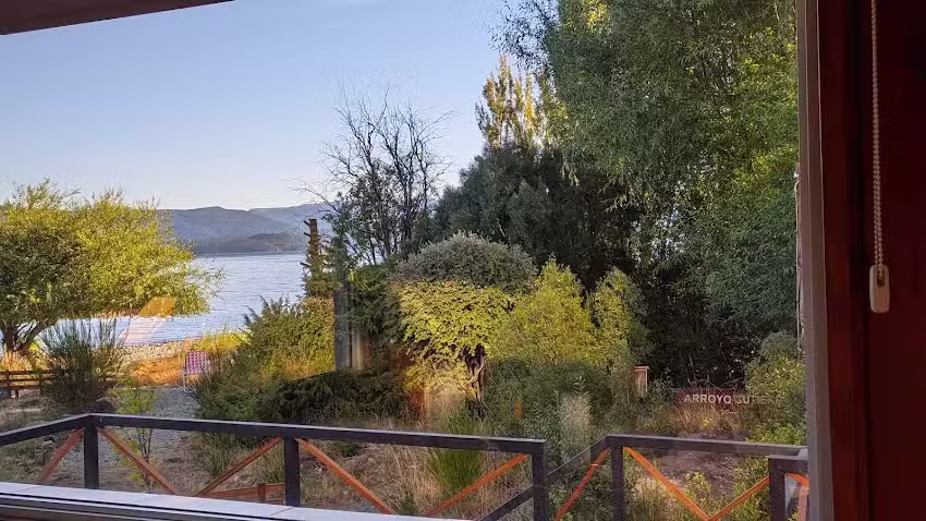 Golondrinas del Nahuel Huapi