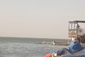 Good Life – Hosteria