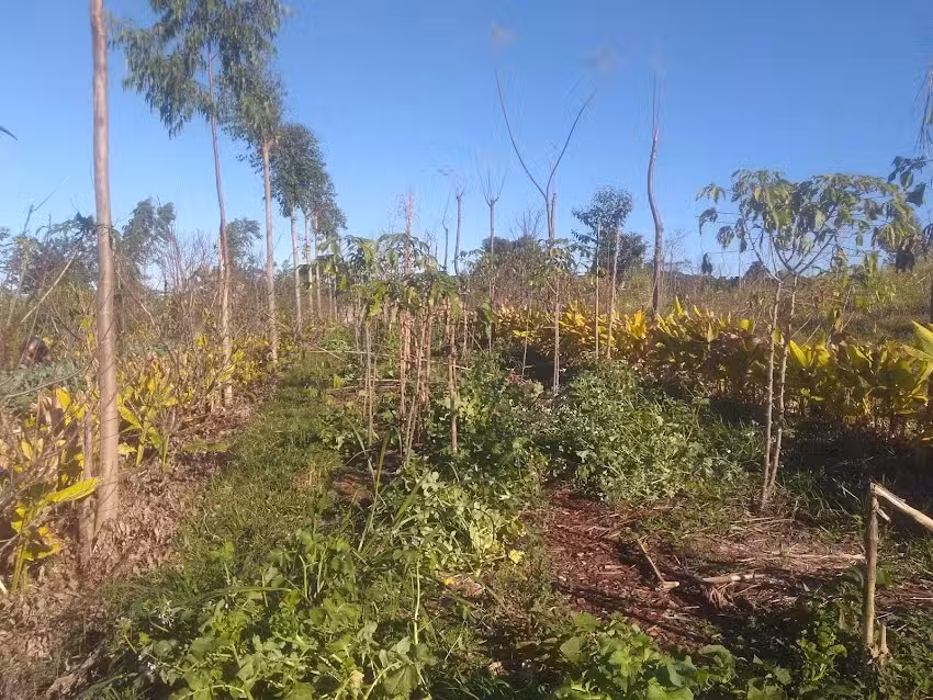 Granja La Lechuza Ecolodge
