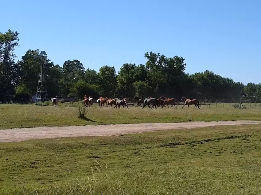 Guest Ranch at Estancia El Venado