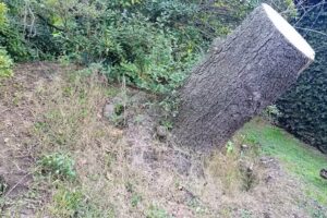 Habitación en casa con gran jardín