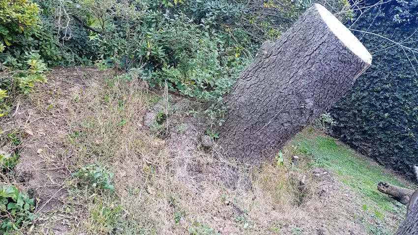 Habitación en casa con gran jardín