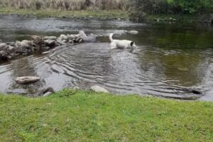 Habitacion en corazon de Recoleta
