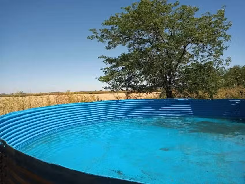 Haras El Carmen Rojas