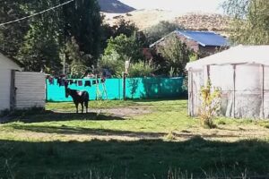 Hogar Ceferino Namuncurá