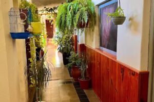 Hospedaje Almafuerte