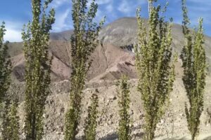 Hospedaje -Camping Luna Garcia