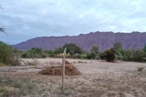 Hospedaje del Valle-Kiosco del Valle – Sabores Caseros