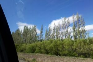 Hospedaje Doña Chiche