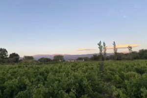 Hospedaje en Fiambala