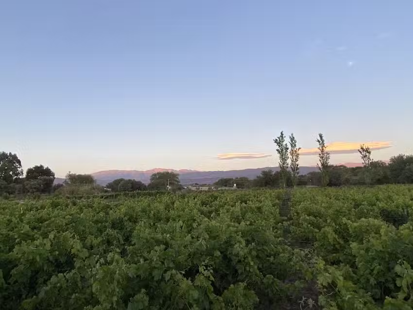 Hospedaje en Fiambala