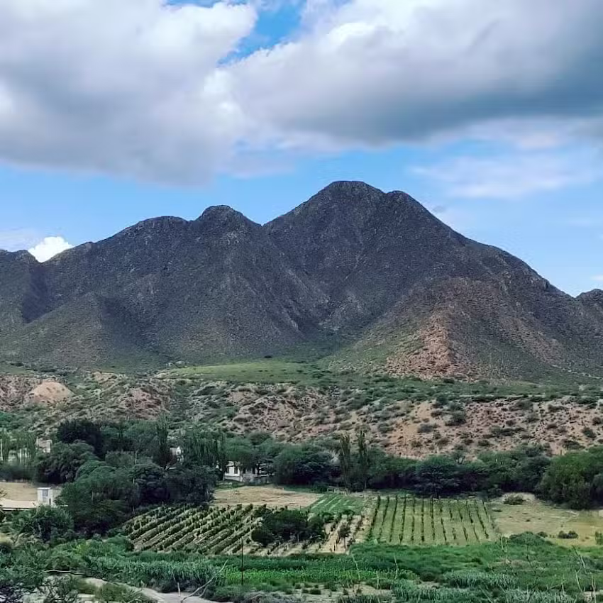 Hospedaje Finca La Encantada