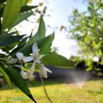 Hospedaje La Cañada