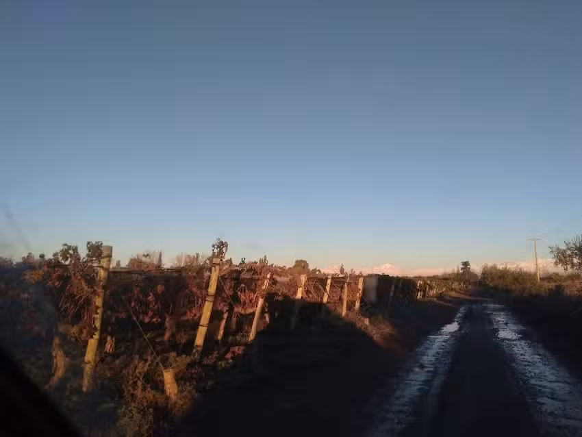 Hospedaje “La Finca”