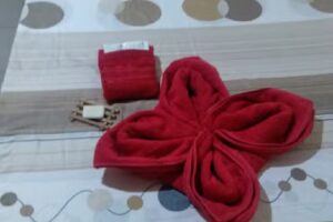 Hospedaje La Flor del Lapacho