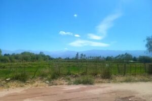 HOSPEDAJE LA MORENITA