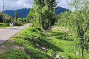 HOSPEDAJE “LA TONA”