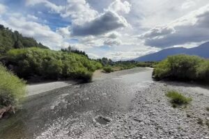 Hospedaje Las Gardenias