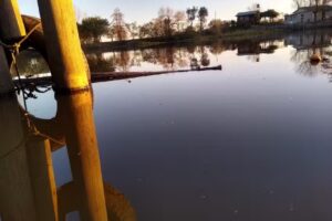 Hospedaje “LOS NENUS”