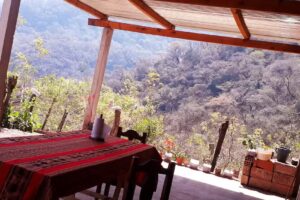 Hospedaje Los tucanes