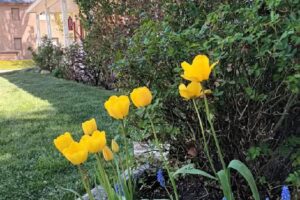 HOSPEDAJE MARIANA MPCSS