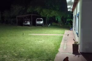 Hospedaje “Mi Santa Guadalupe”