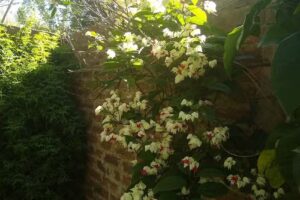 Hospedaje “Piedras Blancas”