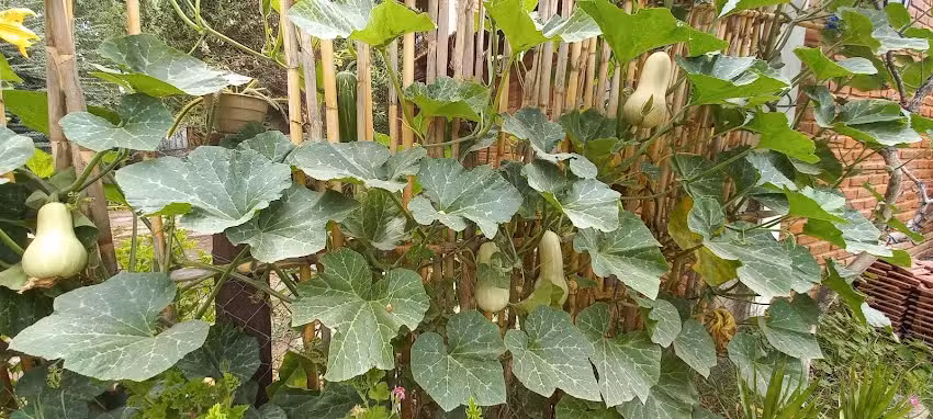 Hospedaje Posada Debbie Airoport Ezeiza