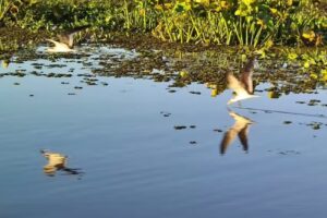 Hospedaje San Cayetano