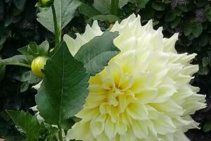 Hospedaje santa margarita