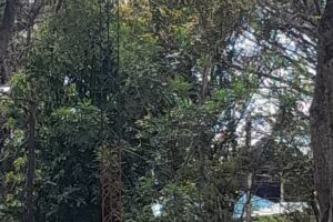 Hospedaje Selva Y Hugo