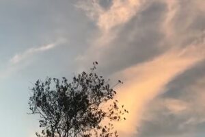 Hospedaje “Serrezuela”