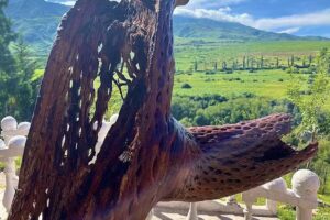 Hostal Alondra Tafi del Valle