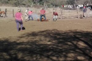 Hostal El Portal del Anta