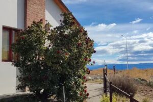 Hostel Aves Del Lago