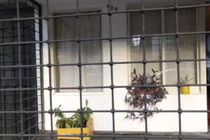 Hostel Boutique PASO