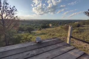 Hostel El Gran Chaparral