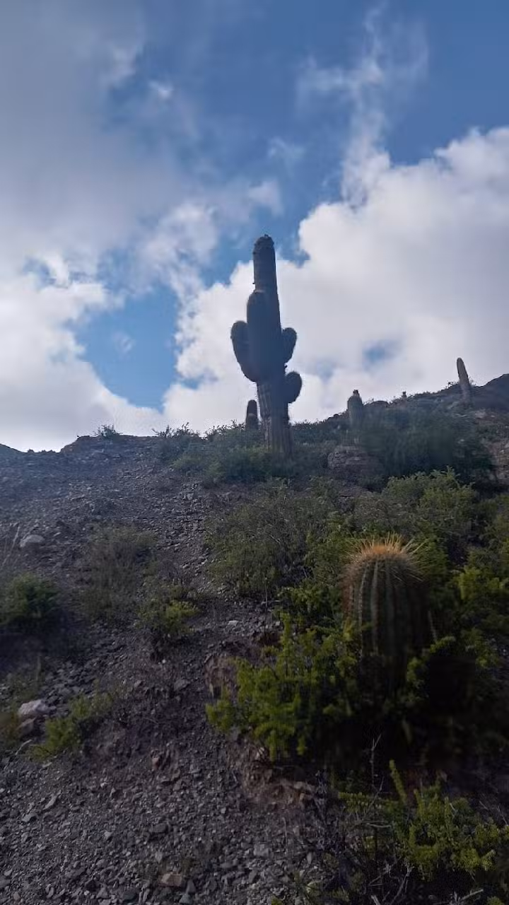 Hostel el morado de purmamarca