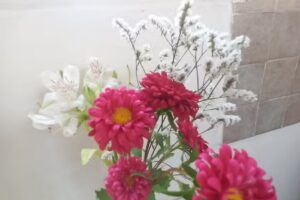 Hostel en Almirante Brown