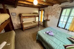 Hostel La Casa del Arbol