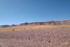 Hostel Los Seismiles