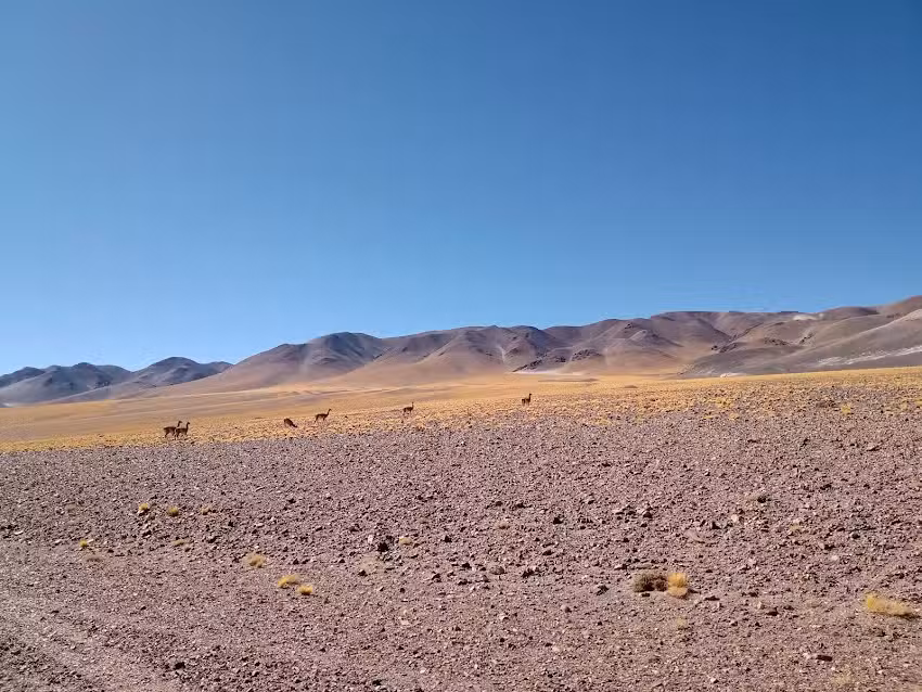 Hostel Los Seismiles