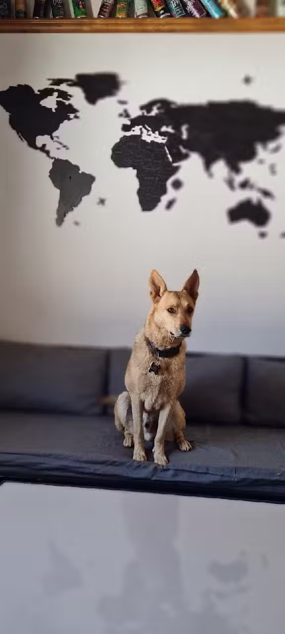 Hostel Maneco — Somos Pet Friendly