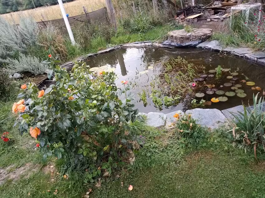 Hostel Sendero del sol