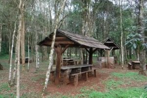 Hostel y Cabaña El Mayno