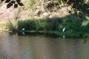 Hosteria Arroyo Cristal