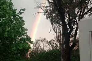 Hostería Camping Juamba