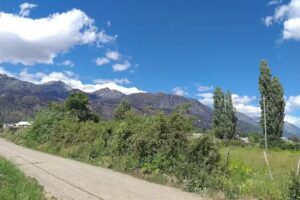 Hosteria Cecilia de Los Andes